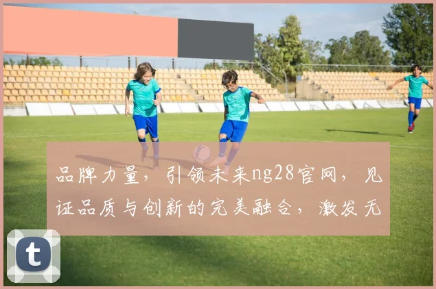 品牌力量，引领未来ng28官网，见证品质与创新的完美融合，激发无限可能