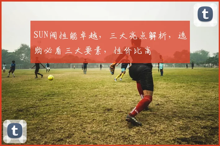 SUN阀性能卓越，三大亮点解析，选购必看三大要素，性价比高