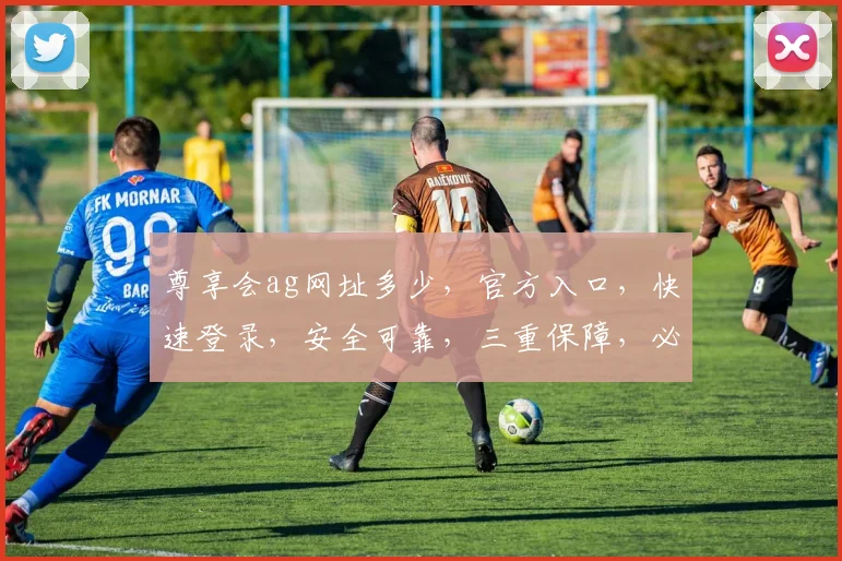 尊享会ag网址多少，官方入口，快速登录，安全可靠，三重保障，必看攻略，一网打尽